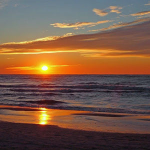 Meet your Posher, Riley